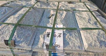 百色芝麻白蘑菇石，自然面